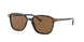 902/57 - Tortoise - Brown