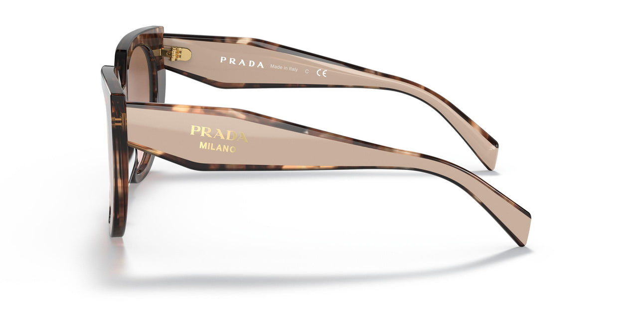 01R0A6 - Havana - Brown Gradient