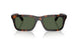30029A - Brown - Dark Green Polar