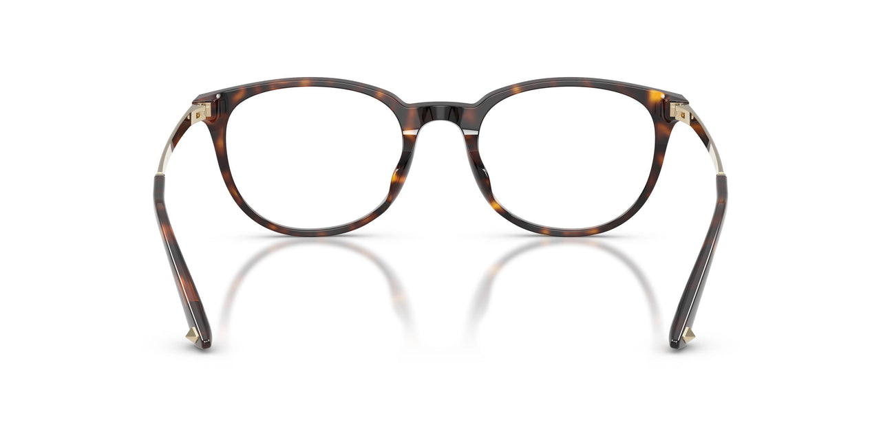 5002 - Tortoise