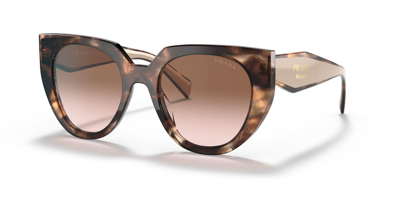01R0A6 - Havana - Brown Gradient