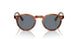 1483R8 - Havana - Indigo Photochromic