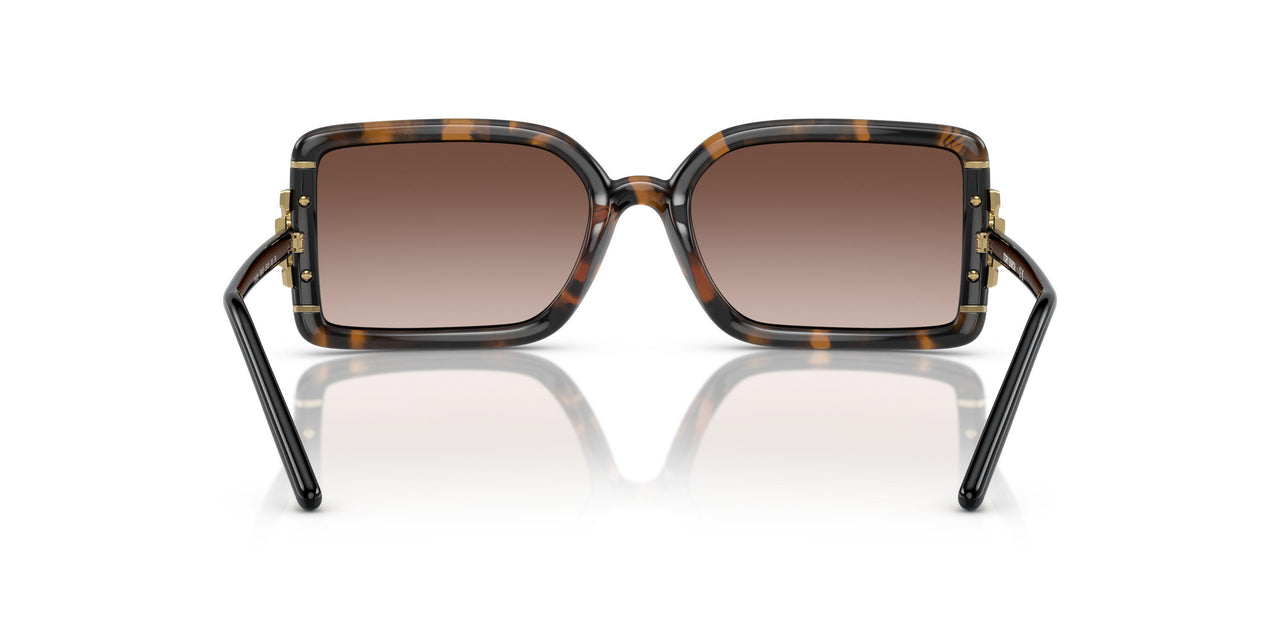 178413 - Tortoise - Gradient Brown