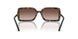 178413 - Tortoise - Gradient Brown