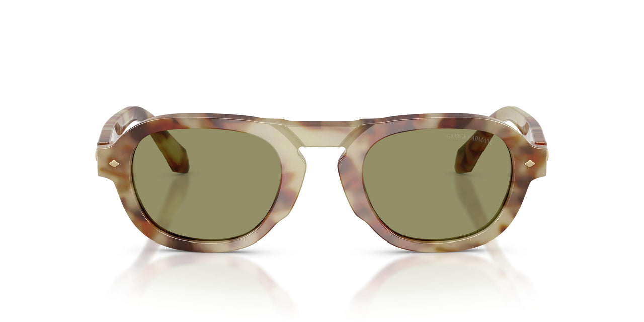 629914 - Tortoise - Green