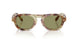 629914 - Tortoise - Green