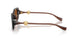 533213 - Brown - Brown Gradient
