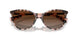 6058T5 - Pink - Brown Gradient Polar
