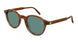 002 - Brown - Green