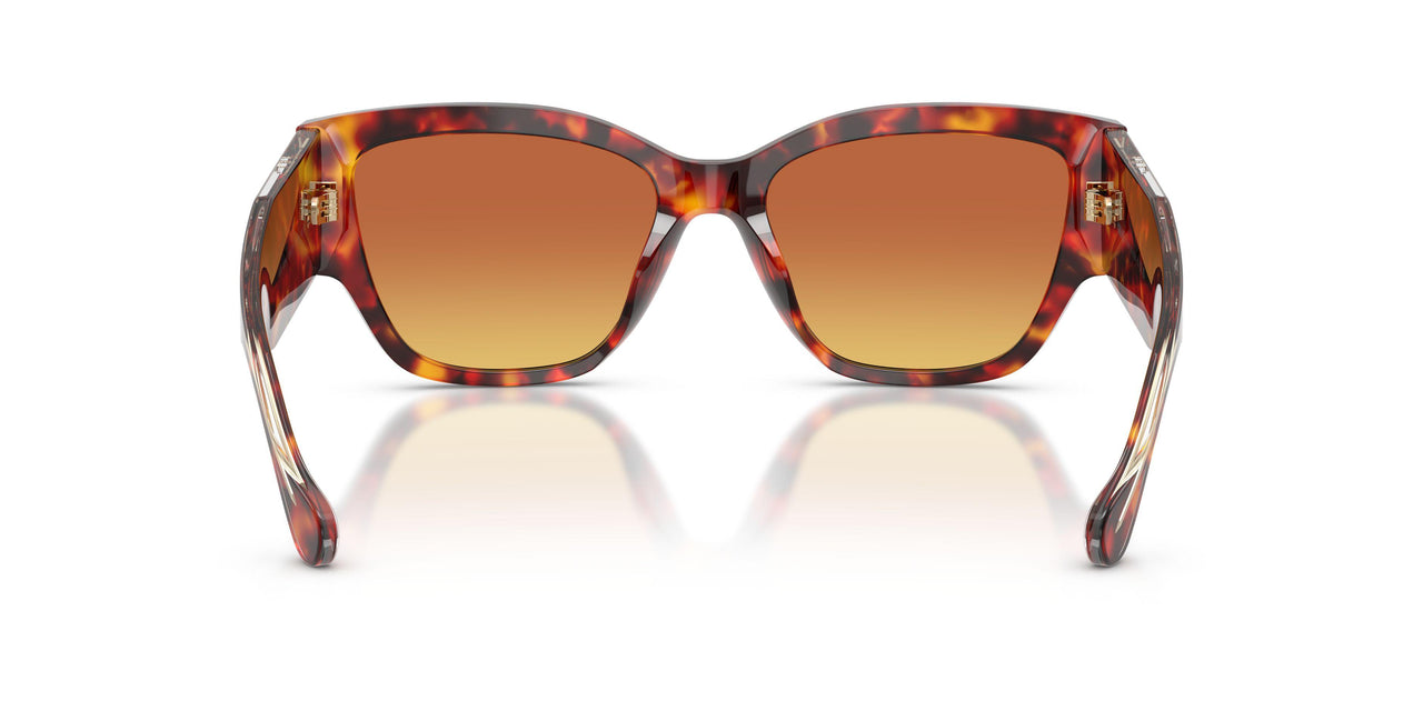5543T5 - Tortoise - Yellow Gradient Brown