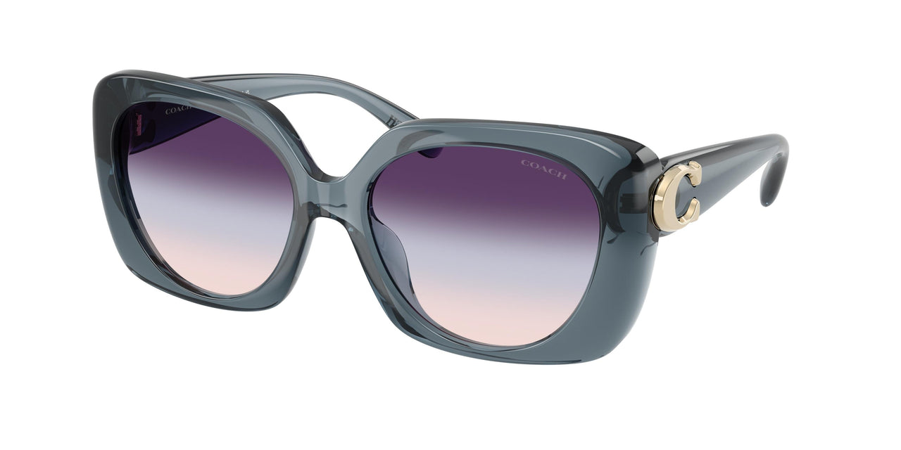 Coach Cad33 8422U Sunglasses