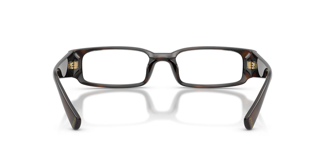 5860 - Tortoise