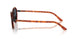 6404R5 - Brown - Blue
