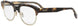 Fendi FE50068U Eyeglasses