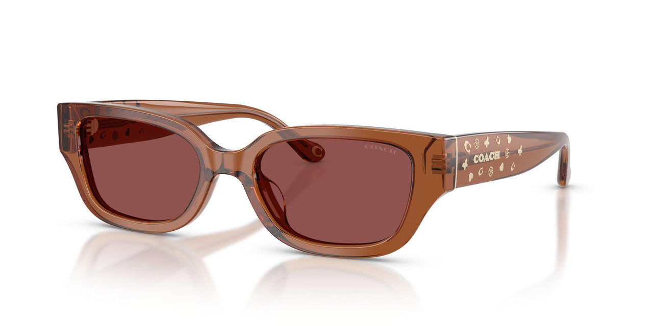 581175 - Brown - Wine Solid