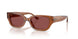 581175 - Brown - Wine Solid
