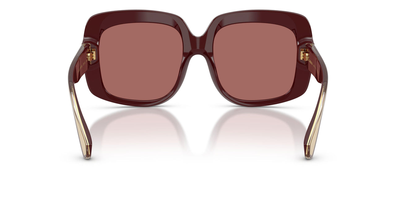 309169 - Red - Dark Violet
