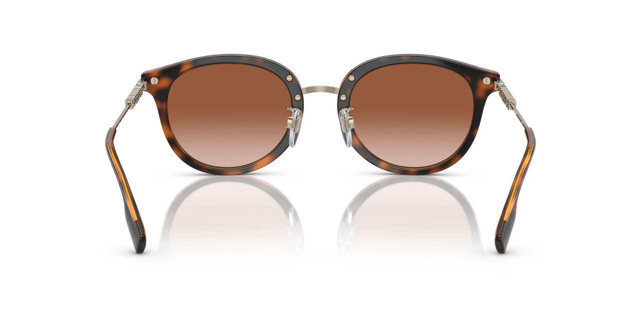 300213 - Brown - Brown Gradient