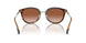 300213 - Brown - Brown Gradient