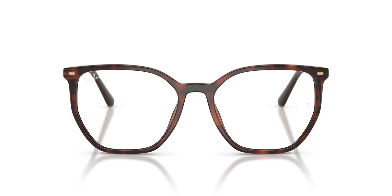 2012 - Brown - Clear