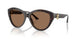 512573 - Brown - Dark Brown
