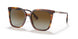 3316T5 - Havana - Gradient Brown Polar