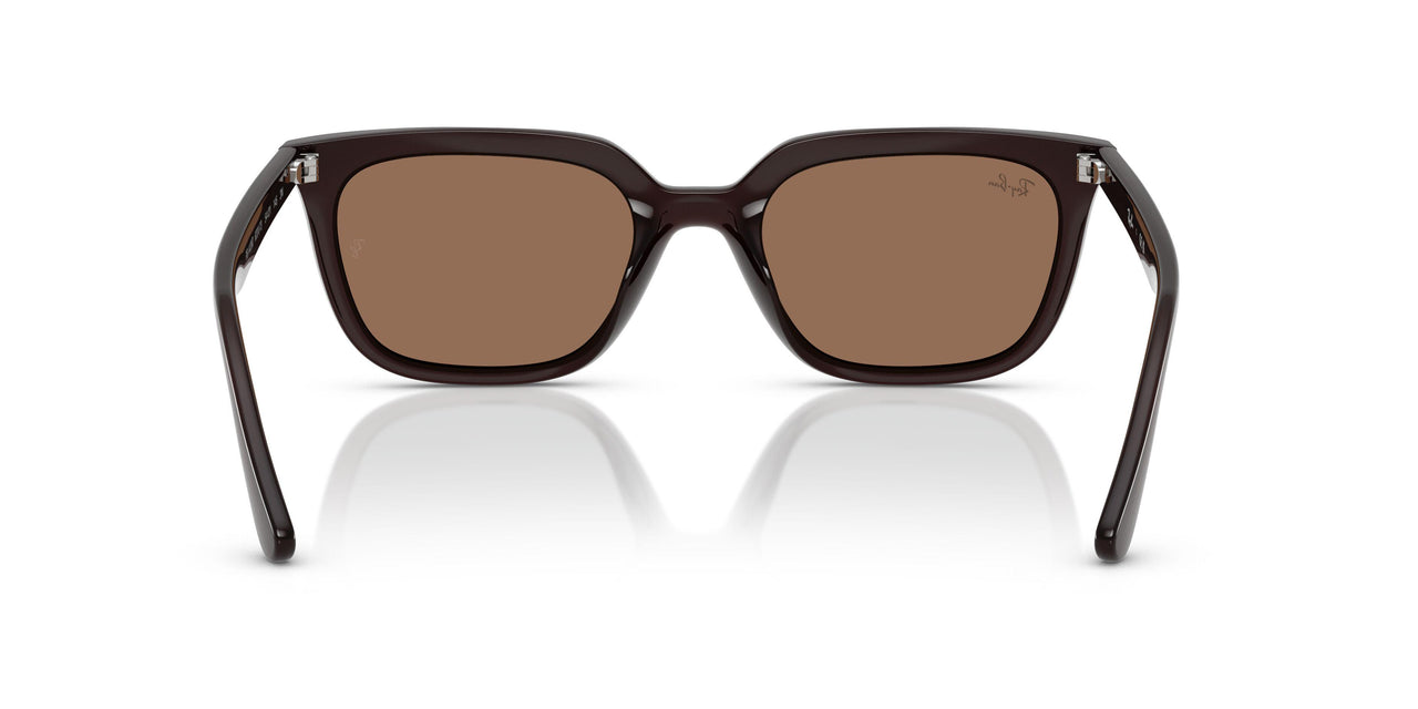 623173 - Brown - Dark Brown