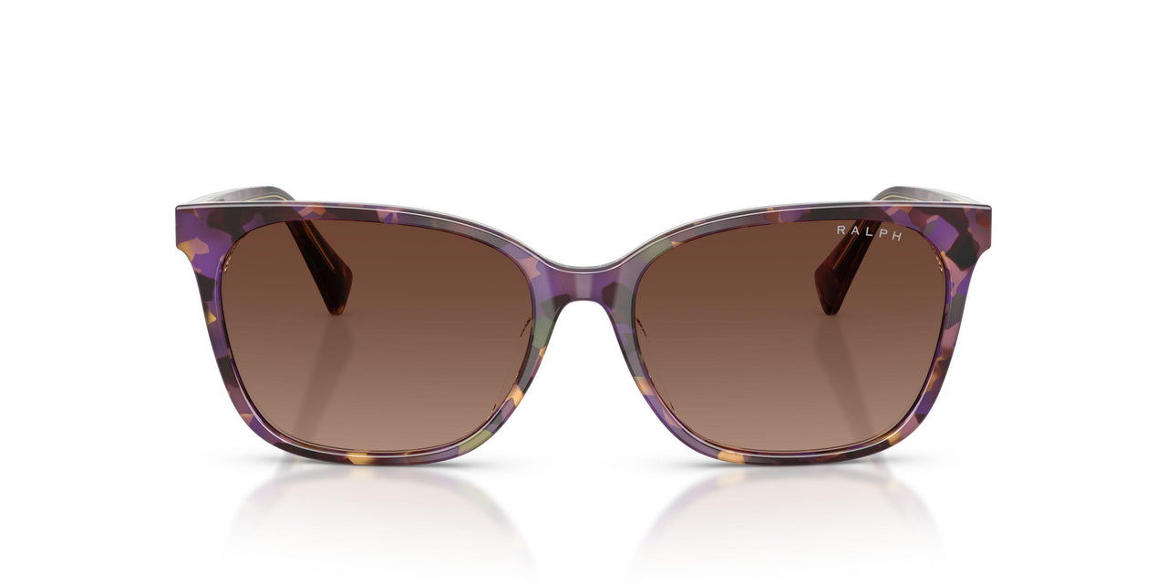 6303T5 - Tortoise - Polar Gradient Brown