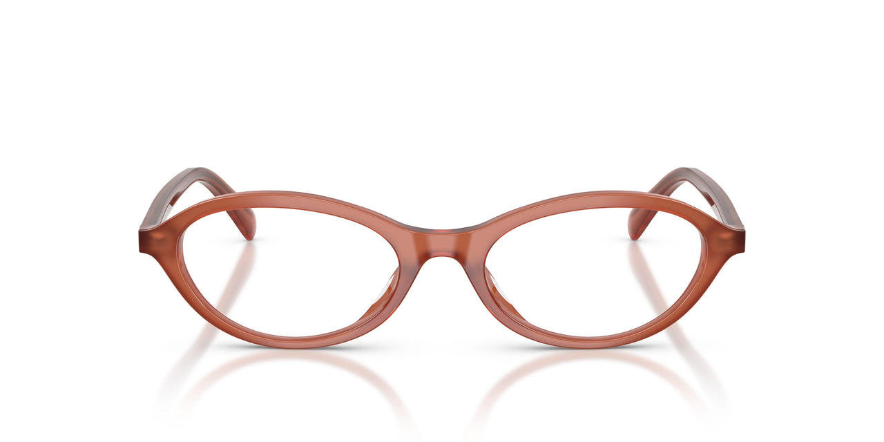 6455 - Brown