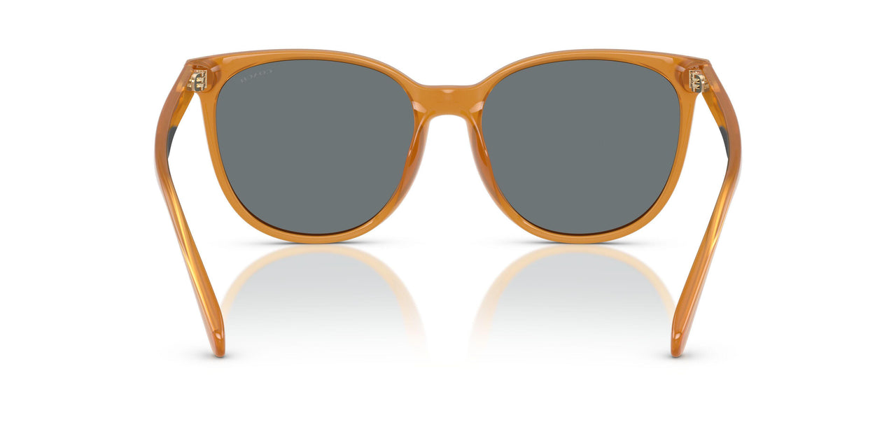 585580 - Orange - Grey Solid