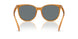 585580 - Orange - Grey Solid