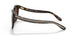 51203B - Havana - Brown Gradient