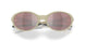 943847 - Brown - Prizm Snow Black Iridium