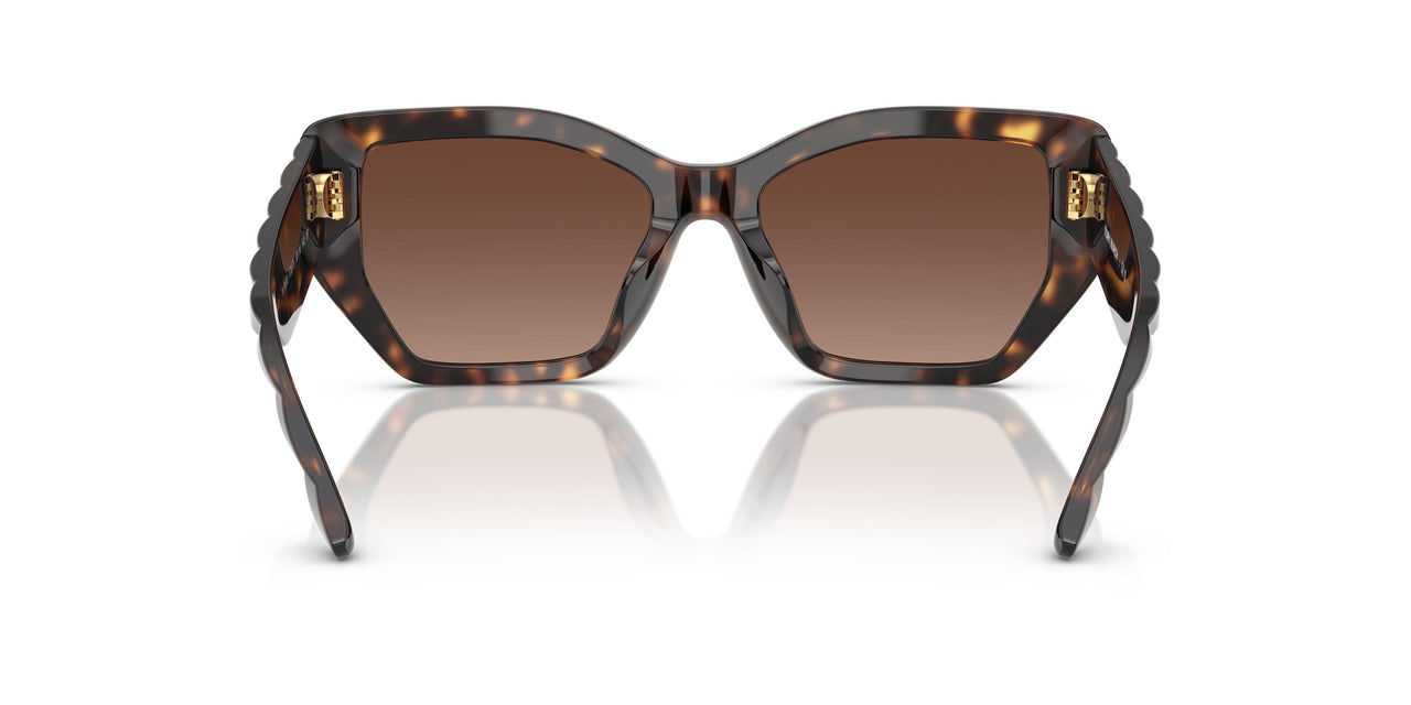 1728T5 - Tortoise - Brown Gradient Polar