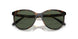 W65671 - Havana - Dark Green
