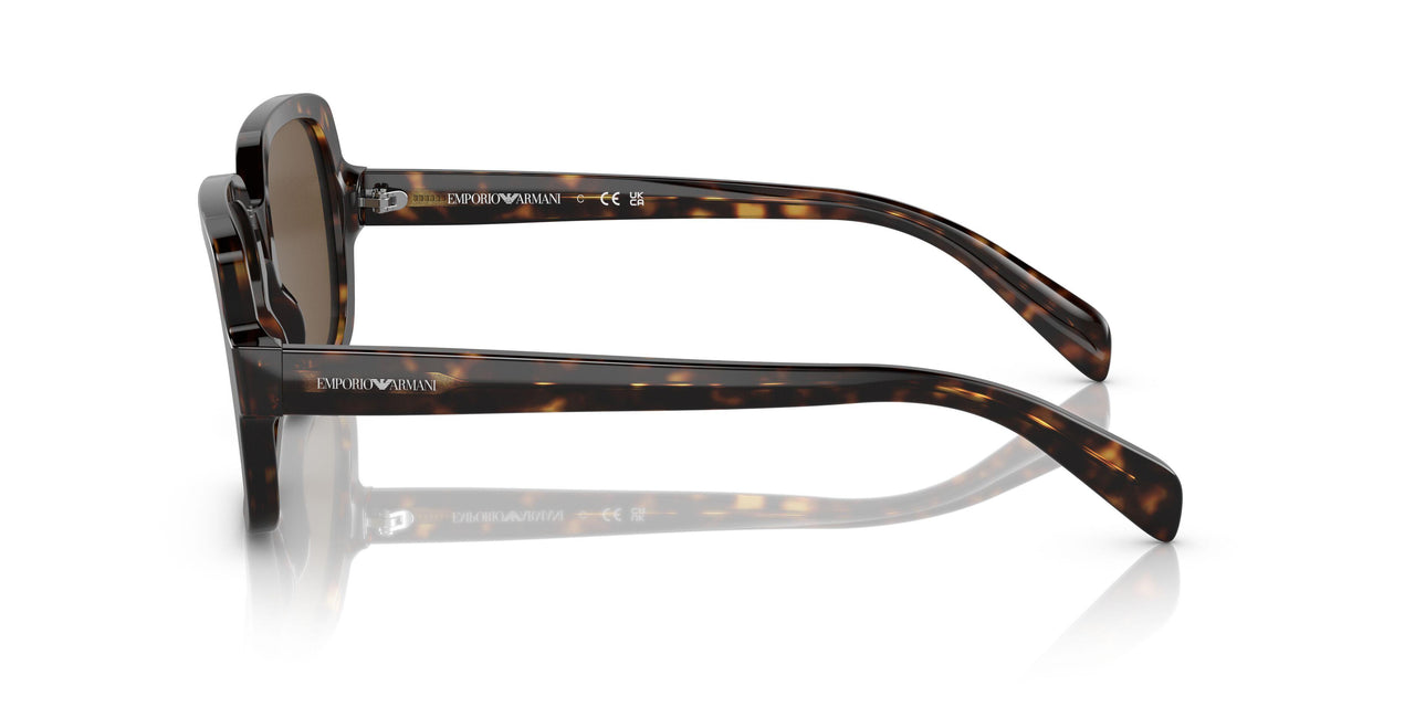 502673 - Havana - Dark Brown