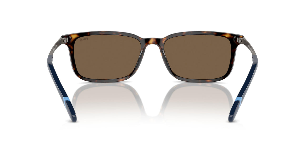 500373 - Brown - Brown