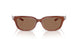 203373 - Brown - Dark Brown