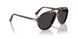 24/48 - Tortoise - Polar Black