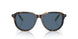 500380 - Tortoise - Dark Blue