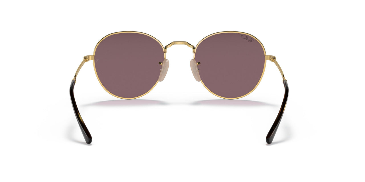 001/AF - Gold - Dark Violet Polar