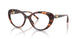 4031 - Tortoise