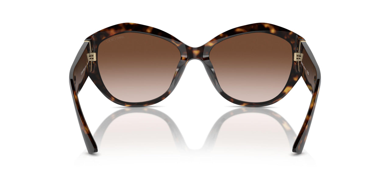 500213 - Tortoise - Gradient Brown