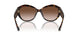 500213 - Tortoise - Gradient Brown