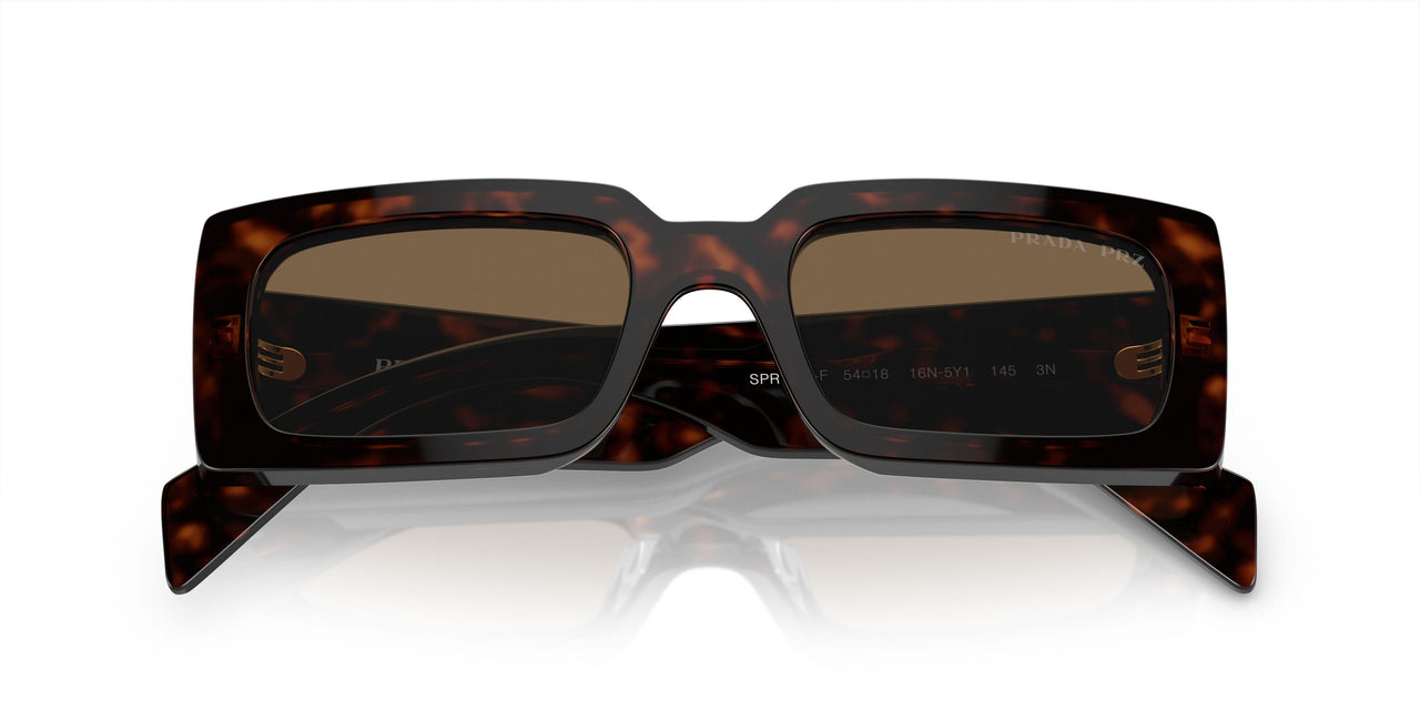 16N5Y1 - Brown - Dark Brown Polar