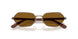 513883 - Brown - Dark Brown Polar
