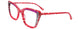 Paradox P5098 Eyeglasses