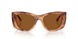 509673 - Brown - Dark Brown