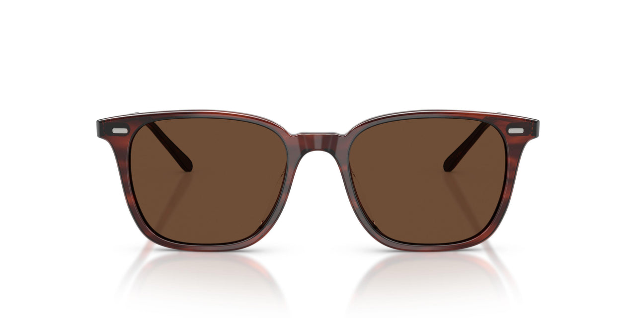 1818AN - Brown - Terra Polarized