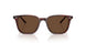 1818AN - Brown - Terra Polarized